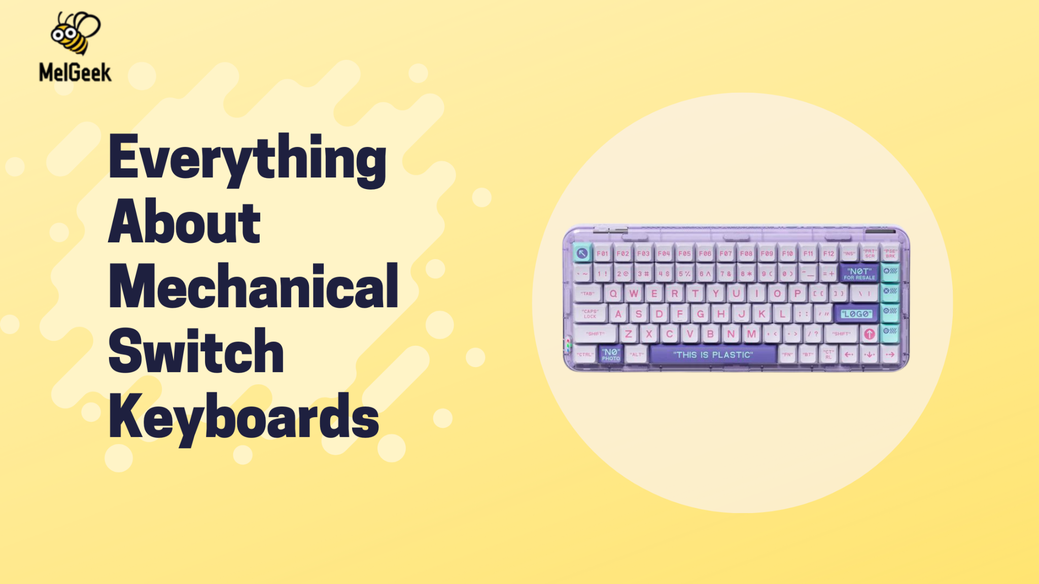 Everything About Mechanical Switch Keyboards: Best Types and Colors fo