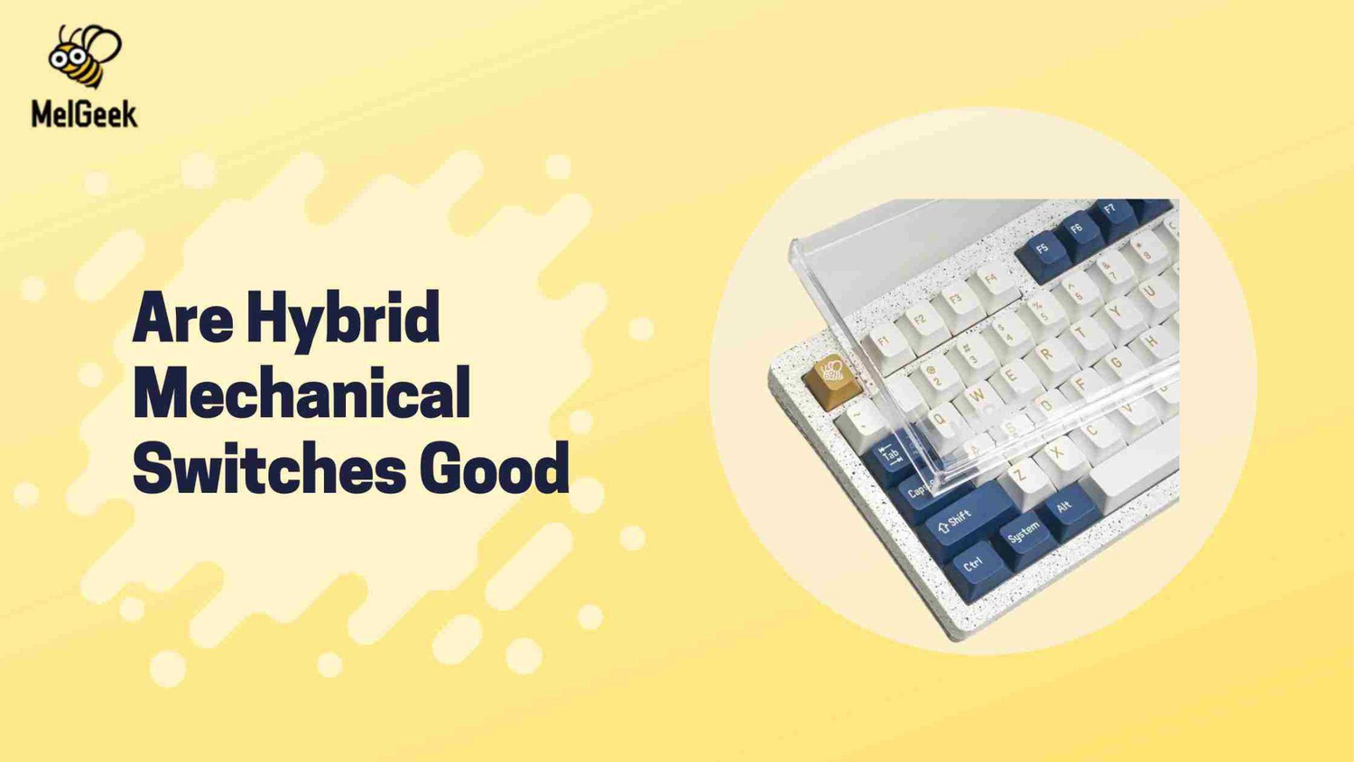 Are hybrid mechanical switches good?